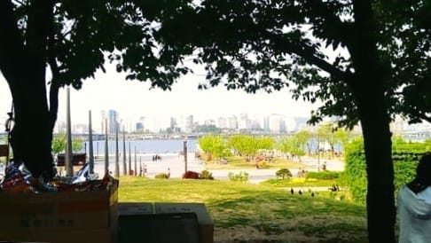 Skateboarding in Seoul